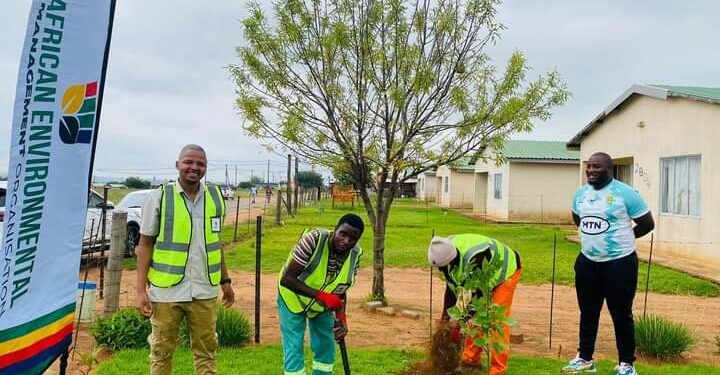 1 million trees pre-launch marks a new era for Mpumalanga’s green initiative