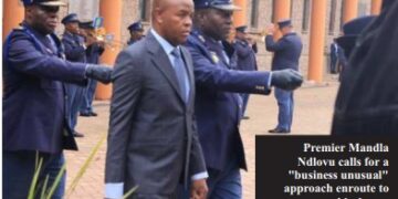 Mpumalanga Premier Mandla Ndlovu calls for ‘business unusual’ strategy to achieve Vision 2030