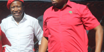 EFF SG dismisses speculations on Shivambu’s departure, emphasizes Malema is ‘In Equilibrium’ without need for prayer