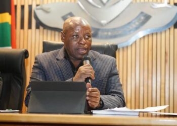 :- Nkangala District Municipality mayor Thomas Ngwenya says stokvels need to be directed in order to mitigate the impacts of poverty and unemployment in men.