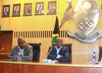Left MEC for Community Safety, Security, and Liaison Jackie Macie. On the right NDM  executive mayor Thomas Ngwenya.