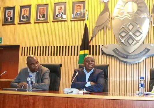 Left MEC for Community Safety, Security, and Liaison Jackie Macie. On the right NDM  executive mayor Thomas Ngwenya.