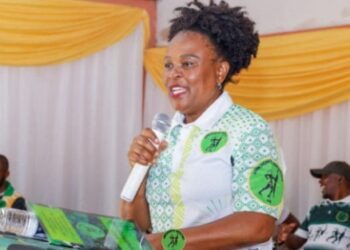 The MKP has appointed a provincial detachment team led by Busisiwe Mkhwebane in Mpumalanga.