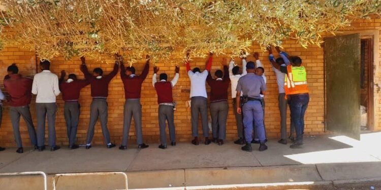‘We need support, not criminalisation’ – parents criticise school safety programme