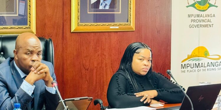 Premier Ndlovu acts on R2m laptop fraud, eight face disciplinary action