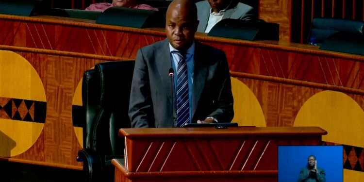 Mpumalanga Premier Mandla Ndlovu